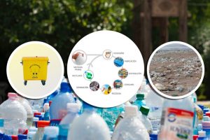 Lee más sobre el artículo Curso “Economía Circular de los Envases Plásticos”