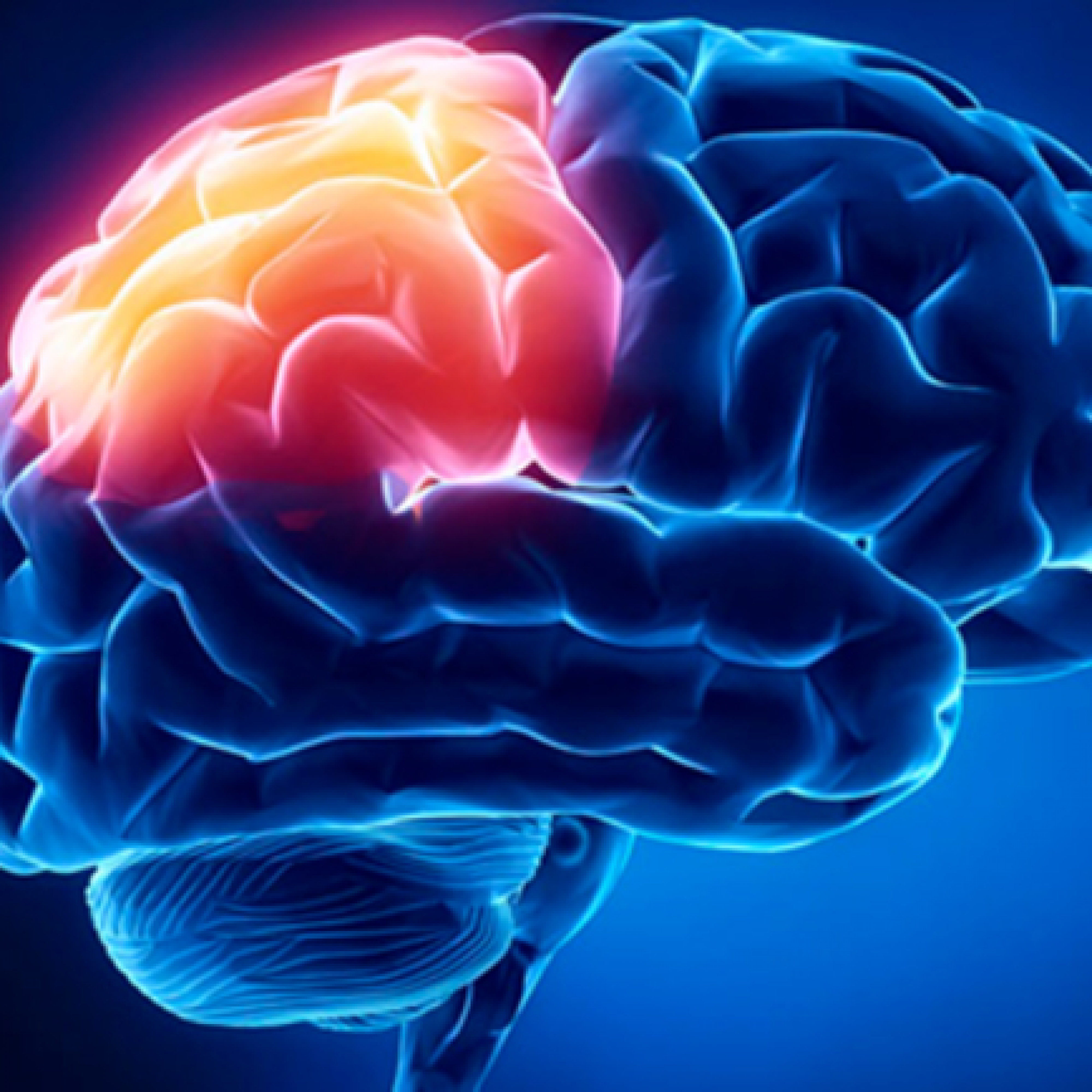 Antonio Damasio, el error de Descartes o la hipótesis del Marcador Somático