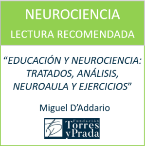 Educacion y Neurociencia (Miguel D´Addario)